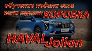 HAVAL JOLION: ОБУЧЕНИЕ ПЕДАЛИ ГАЗА, ЧТОБЫ КОРОБКА НЕ ТУПИЛА