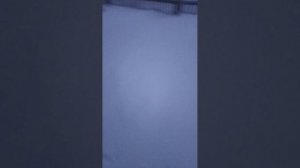 Прогулка со смешными моментами.Гость под домом.Обзор на сани.