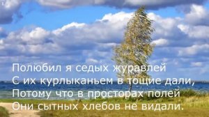 Сергей Есенин - Низкий дом с голубыми ставнями