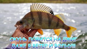 ОКУНЬ ловится на ДЖИГ даже в ветер и волну!!! Джиг с лодки!
