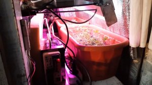 Освещение квартирного огорода.mp4