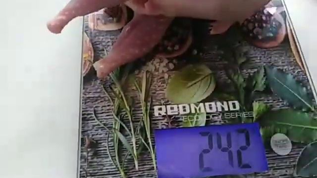 Вес тушки перепелок ???яйценоскость кур несушек