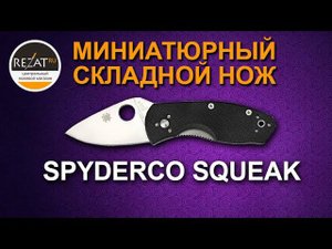 Миниатюрный складной нож EDC Spyderco Squeak 154PBK | Обзор от Rezat.Ru