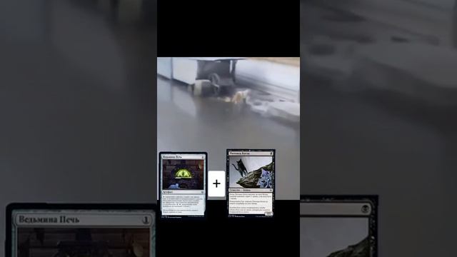 Мтг мем Котопечка MTG