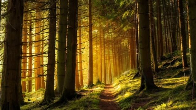 Музыка для сна - успокаивающая музыка - чилаут