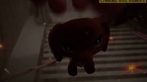 Танцы на стеклах, песня Кристины Ашмариной