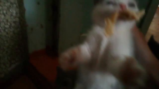 30 октября 2023 г..mp4 смотреть онлайн