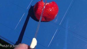 ГАЛЯ ЧИВ клубника медово-сдадкая позднеспелого срока созревания