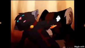 Коты воители клип бич и звездоцап