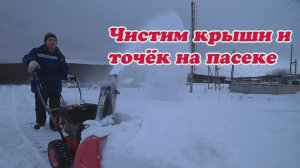ЧИСТИМ СНЕГ НА ПАСЕКЕ, ГОТОВИМ ТОЧЁК, БЕЗДОМНАЯ СОБАКА НАЙДА, ПРИВЕЗЛИ КУР.