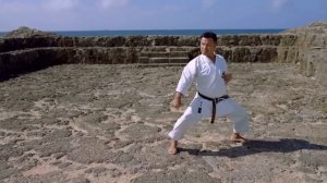 Сейнчин. Мастера Годзю-рю из Окинавы. Новое исполнение ката в Киокушин каратэ IKO. Eremenko’Dojo.