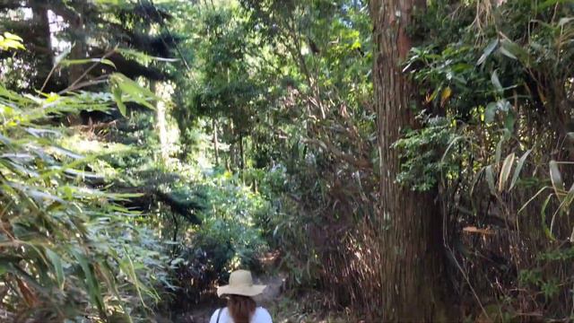 Koyasan | Япония | День первый смотреть онлайн