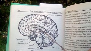 "ПОБЕДА МОЯ" Учителя Иванова.  Энергетические центры тела , души и духа.  Мы - от обезьяны?