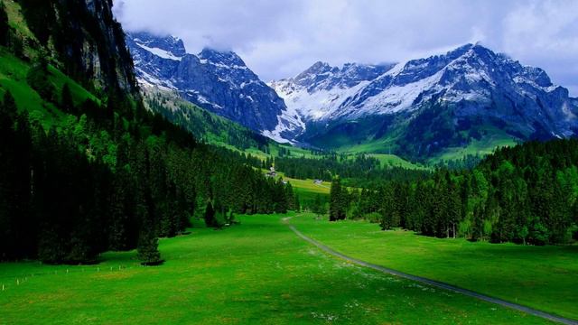 03 Промчалось быстро время - музыкальный альбом "Радость спасения" / скачан из сайта dstudio.info смотреть онлайн