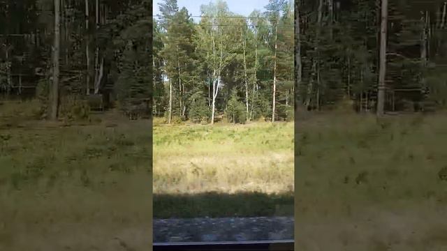 Я Еду в свой город) смотреть онлайн