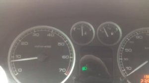 Заводим Пежо 307