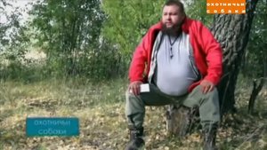 Охотничьи собаки. Бретонский эпаньол.