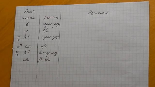 Решение задачи седая прядь волос смотреть онлайн