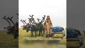 Легенды, предания, сказки, мифы