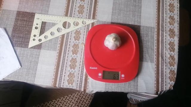 Сколько теряет веса чеснок после сушки?! За 14 дней! V.№15! смотреть онлайн