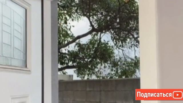 Вам просили передать...