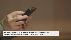 В сети пытаются вербовать школьников для совершения терактов