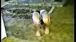 Contortionist Ula Mirror Contortion