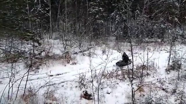 Рысь 440 смотреть онлайн