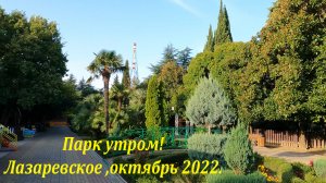 Парк в октябре  2022. ?ЛАЗАРЕВСКОЕ СЕГОДНЯ?СОЧИ.
