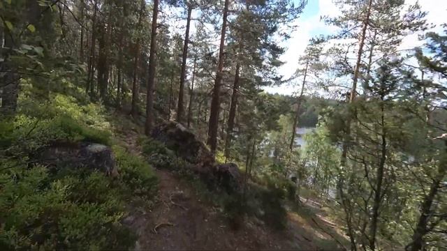 Клюквенное и Ястребиное озеро 13.07.20221