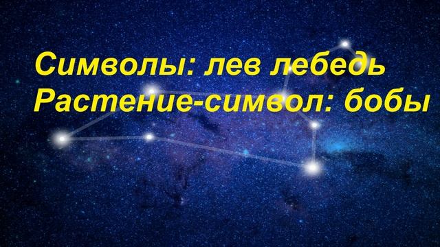 Символы зодиакального созвездия ЛЕВ