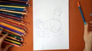 Как нарисовать курочку. Онлайн-школа рисования "Малевашки"