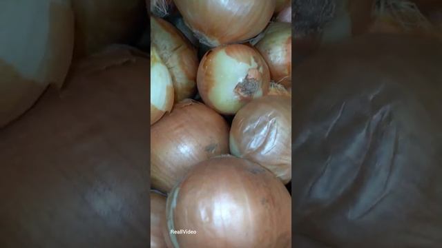 Золотистый лук смотреть онлайн