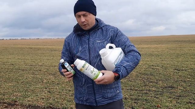 Стимулятор роста Регоплант для обработки посевного материала.  Биостимулятор роста Регоплант 250мл/