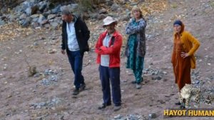 Нападение снежного барса на деревни Памира. Охота барса над скотам. Памир. Amir Hamza Asadullo