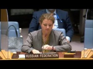 Statement by Deputy Permanent Representative Anna Evstigneeva at UNSC Meeting on Darfur