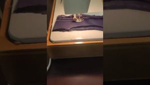 Чайка 134 идеально делает строчку по трикотажу даже крупной иглой и большим зигзагом.