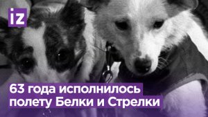Момент в истории: 55 лет - полету Белки и Стрелки в космос / Известия