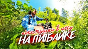 Еду в Лес, строить ИЗБУШКУ!