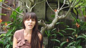 Как сделать мир лучше. Общение с Духами