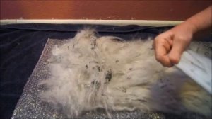 Wet Felting a Scarf