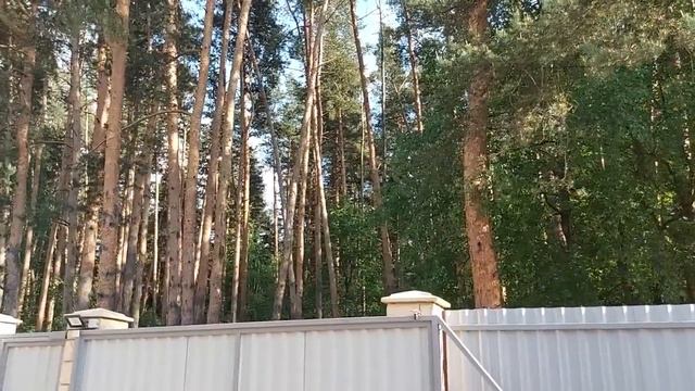 ОТКАТ И ОБРАТКА...  ПОГОВОРИМ... ВЕДЬМИНА ИЗБА...ИНГА ХОСРОЕВА...
