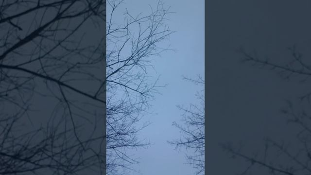 умрёшь не зря: за царя, веру и отечество... смотреть онлайн