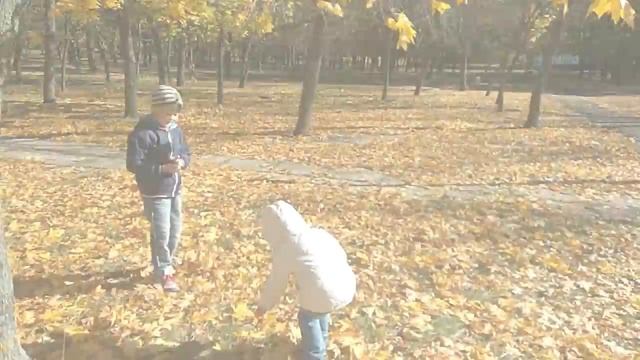 Золотая осень в Южноукраинске