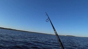 Ловля на Дорожку (ТРОЛЛИНГ)! Сработал воблер КИСЛОТНИК! Ловля щуки! Рыбалка на озере!