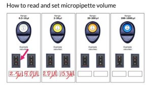 Micropipette reading Quiz