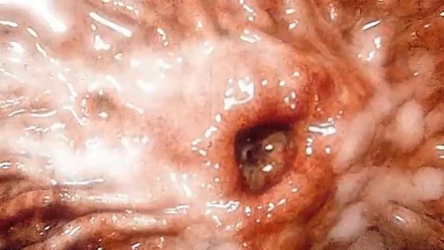 ДЕСЯТКА - буктрейлер ( www.MollySTUDIO.ru) смотреть онлайн