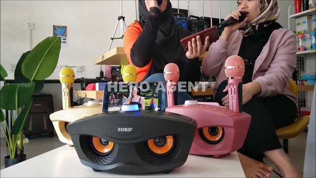 Bluetooth Karaoke Speaker SD306 Duet Wireless Microphone смотреть онлайн