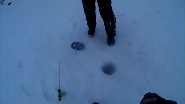 Ловля форели, Клёвое место( д.Савельево) смотреть онлайн