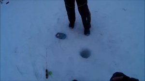 Ловля форели, Клёвое место( д.Савельево)